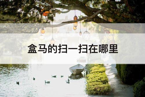 盒马的扫一扫在哪里