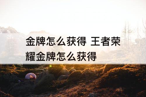 金牌怎么获得 王者荣耀金牌怎么获得