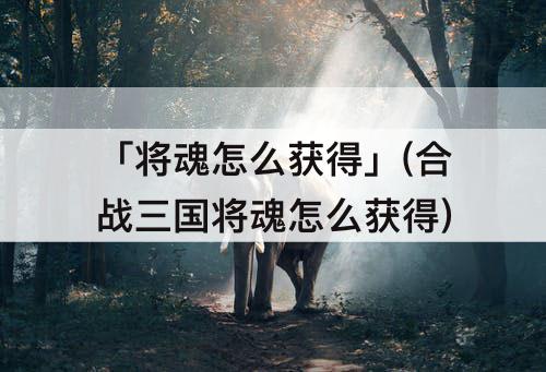 「将魂怎么获得」(合战三国将魂怎么获得)