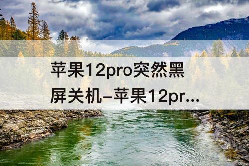 苹果12pro突然黑屏关机-苹果12pro突然黑屏关机开不了机