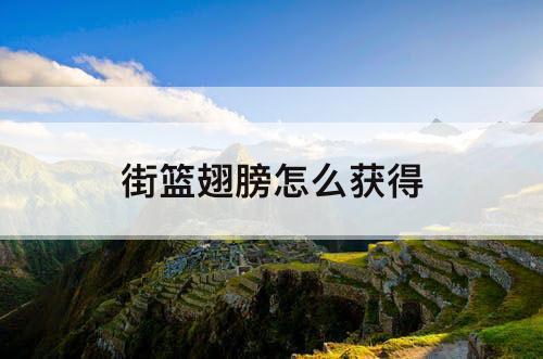 街篮翅膀怎么获得