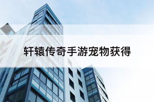 轩辕传奇手游宠物获得