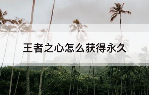 王者之心怎么获得永久