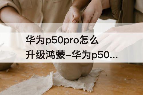 华为p50pro怎么升级鸿蒙-华为p50pro怎么升级鸿蒙系统