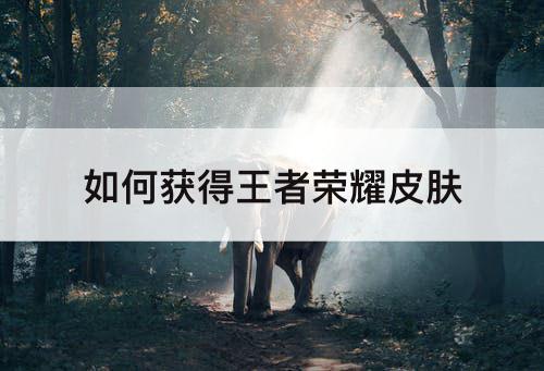 如何获得王者荣耀皮肤