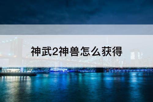 神武2神兽怎么获得