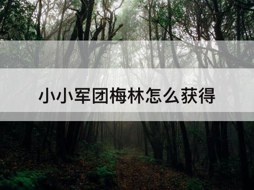 小小军团梅林怎么获得