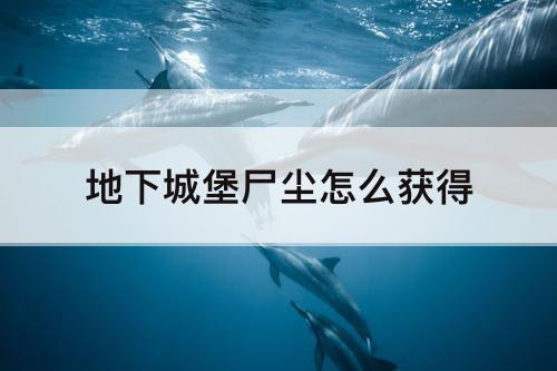 地下城堡尸尘怎么获得