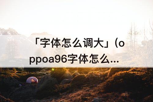 「字体怎么调大」(oppoa96字体怎么调大)