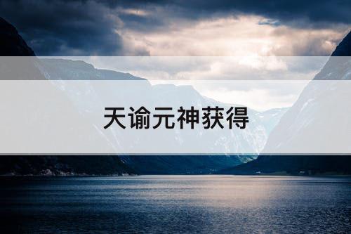 天谕元神获得