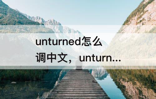 unturned怎么调中文，unturned怎么调中文steam