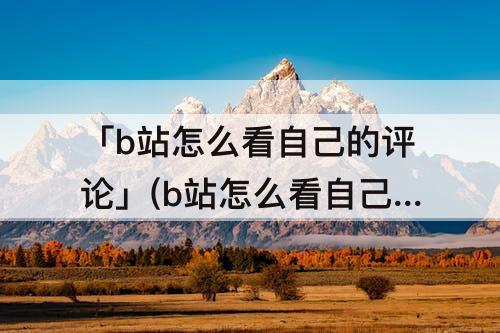 「b站怎么看自己的评论」(b站怎么看自己的评论回复)