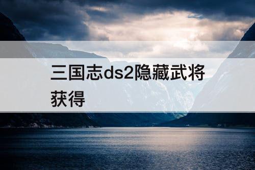 三国志ds2隐藏武将获得