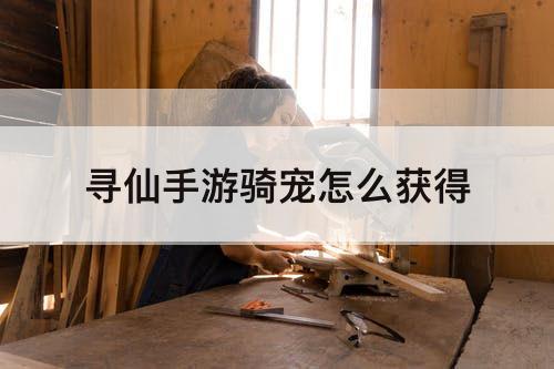 寻仙手游骑宠怎么获得