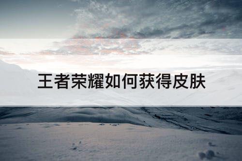 王者荣耀如何获得皮肤