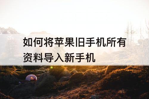 如何将苹果旧手机所有资料导入新手机