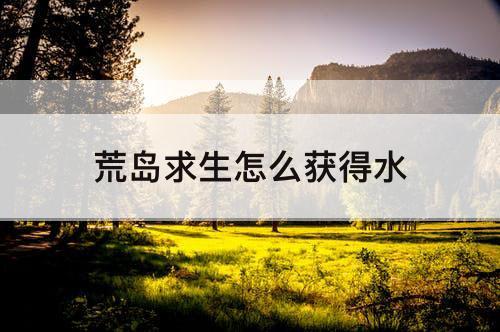 荒岛求生怎么获得水