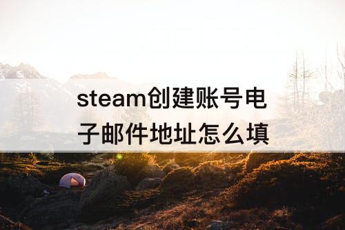 steam创建账号电子邮件地址怎么填