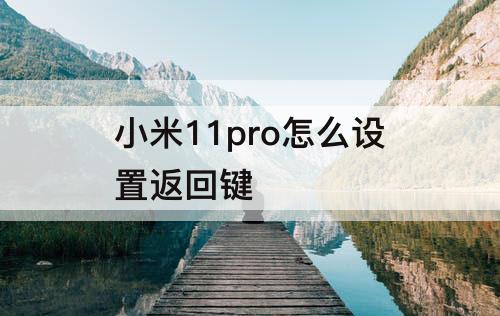 小米11pro怎么设置返回键