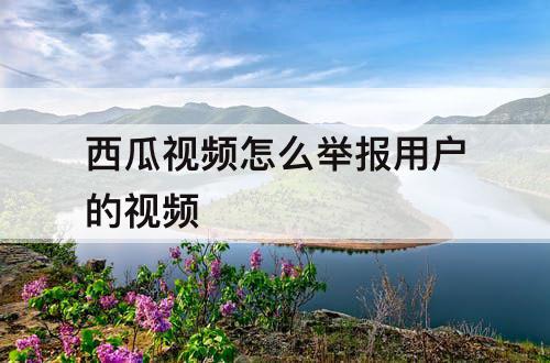 西瓜视频怎么举报用户的视频