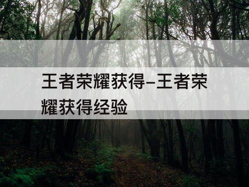 王者荣耀获得-王者荣耀获得经验