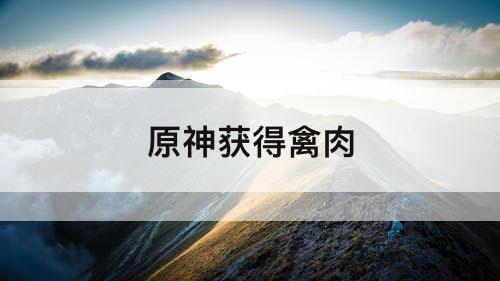 原神获得禽肉