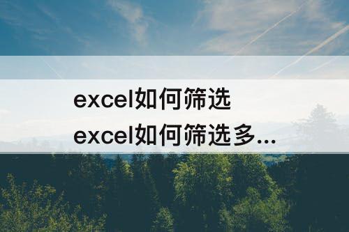 excel如何筛选 excel如何筛选多个条件的数据