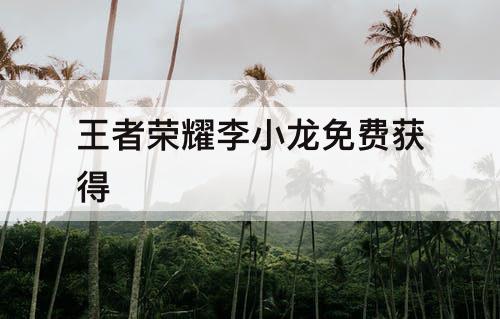 王者荣耀李小龙免费获得