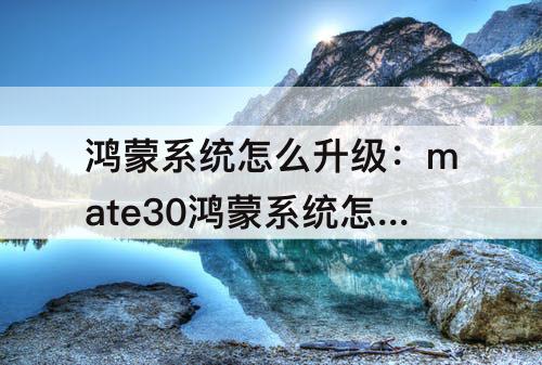 鸿蒙系统怎么升级：mate30鸿蒙系统怎么升级