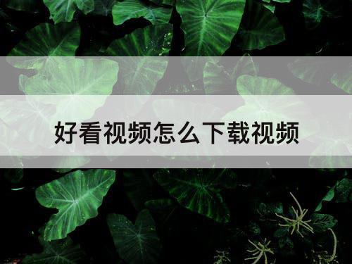 好看视频怎么下载视频