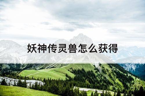 妖神传灵兽怎么获得