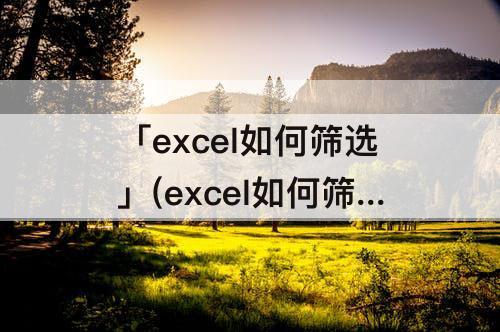 「excel如何筛选」(excel如何筛选重复内容排序)
