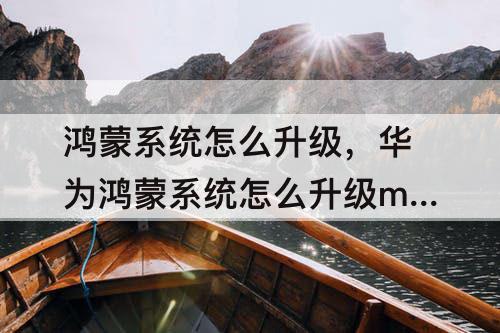 鸿蒙系统怎么升级，华为鸿蒙系统怎么升级mate30epro