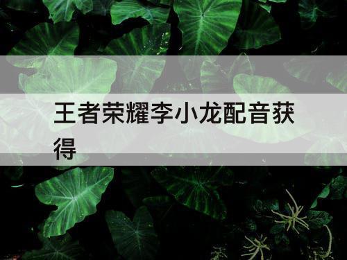 王者荣耀李小龙配音获得