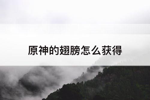 原神的翅膀怎么获得