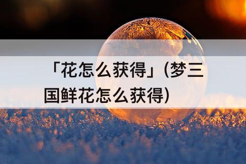 「花怎么获得」(梦三国鲜花怎么获得)