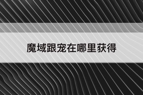魔域跟宠在哪里获得