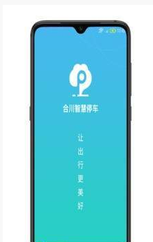 合川智慧停车  v2.1图3