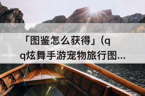 「图鉴怎么获得」(qq炫舞手游宠物旅行图鉴怎么获得)