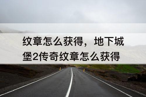 纹章怎么获得，地下城堡2传奇纹章怎么获得