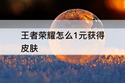 王者荣耀怎么1元获得皮肤