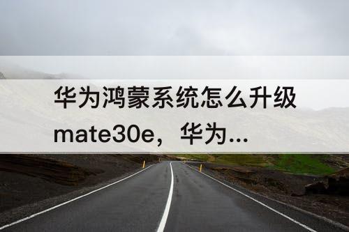 华为鸿蒙系统怎么升级mate30e，华为鸿蒙系统怎么升级mate30epor
