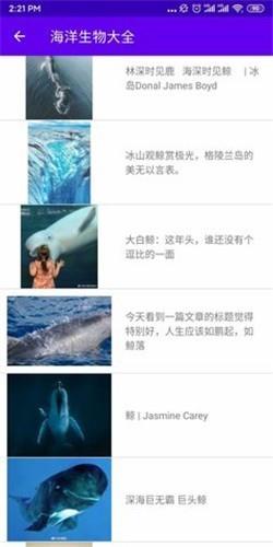 海洋生物大全  v1.0图2