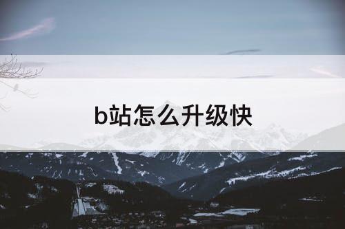 b站怎么升级快