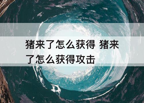 猪来了怎么获得 猪来了怎么获得攻击
