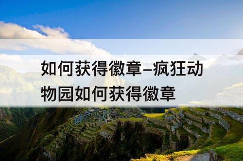 如何获得徽章-疯狂动物园如何获得徽章