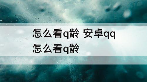 怎么看q龄 安卓qq怎么看q龄