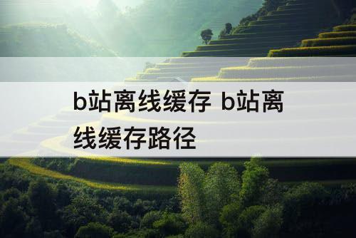 b站离线缓存 b站离线缓存路径