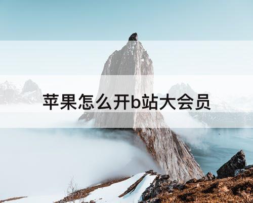 苹果怎么开b站大会员