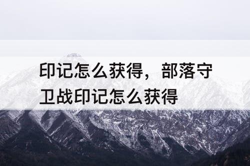 印记怎么获得，部落守卫战印记怎么获得